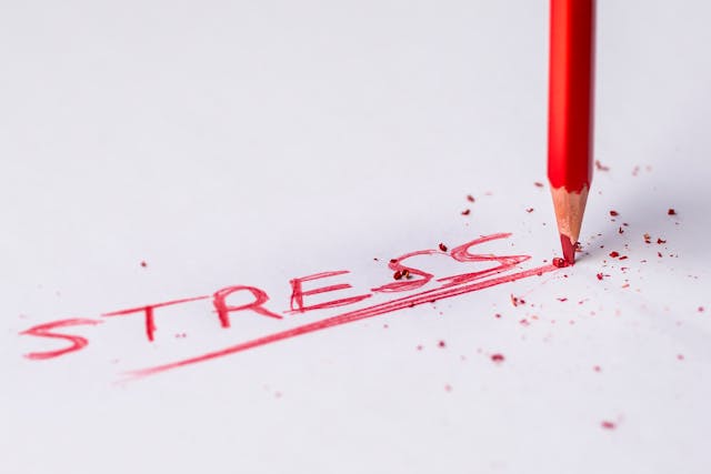 CBD gegen Stress: Die echten Erfahrungen – Hilft es wirklich, zur Ruhe zu kommen?