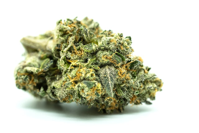 Cannabisblüten verarbeiten: Von der Ernte bis zum Genuss
