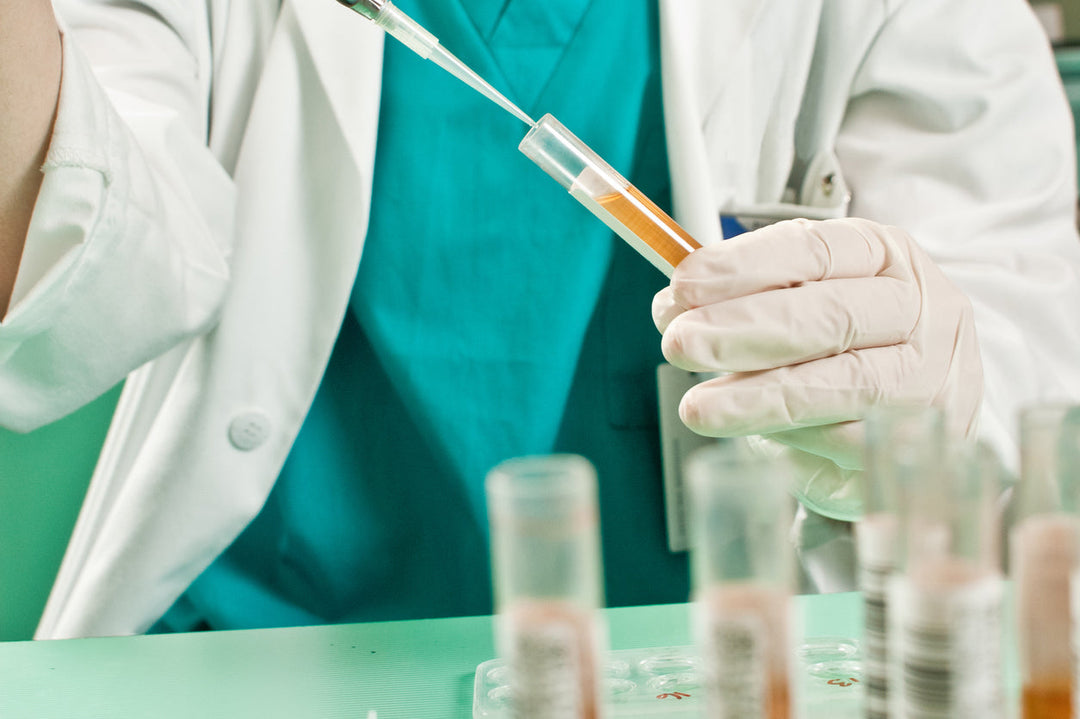 Ist CBD nachweisbar? Alles, was du wissen musst