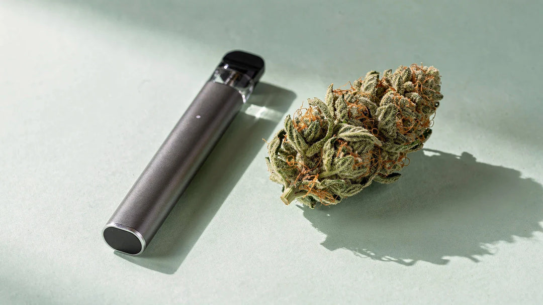 Grauer Einweg-Vape-Pen neben einer Hanfblüte auf hellem Mintgrund, Titelbild zu Happys Amsterdam Wirkung