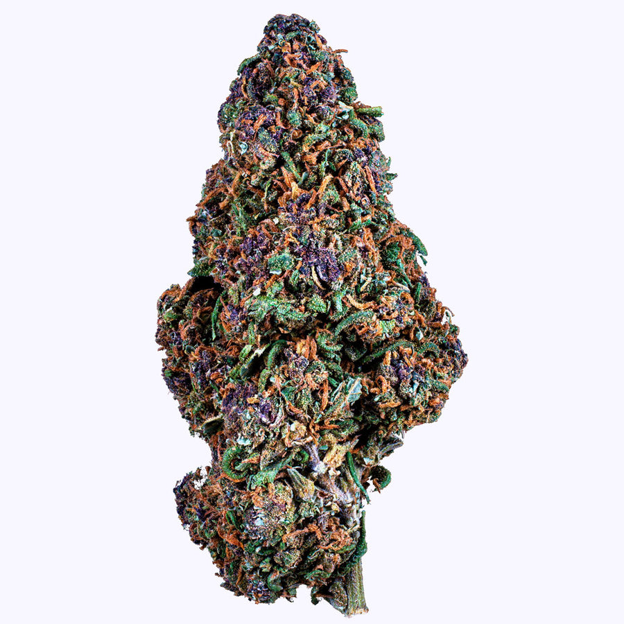 CBDÍA