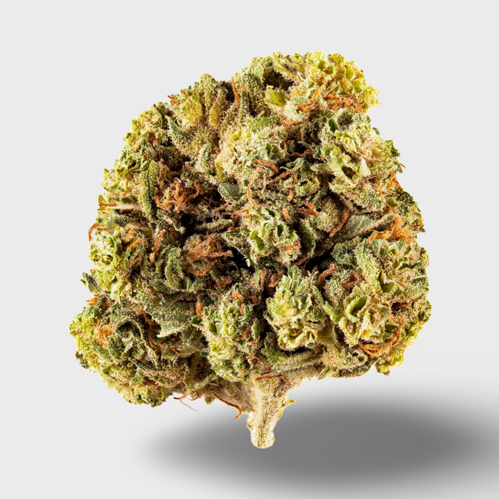 CBDÍA Sunlight X Blue Dream 5g