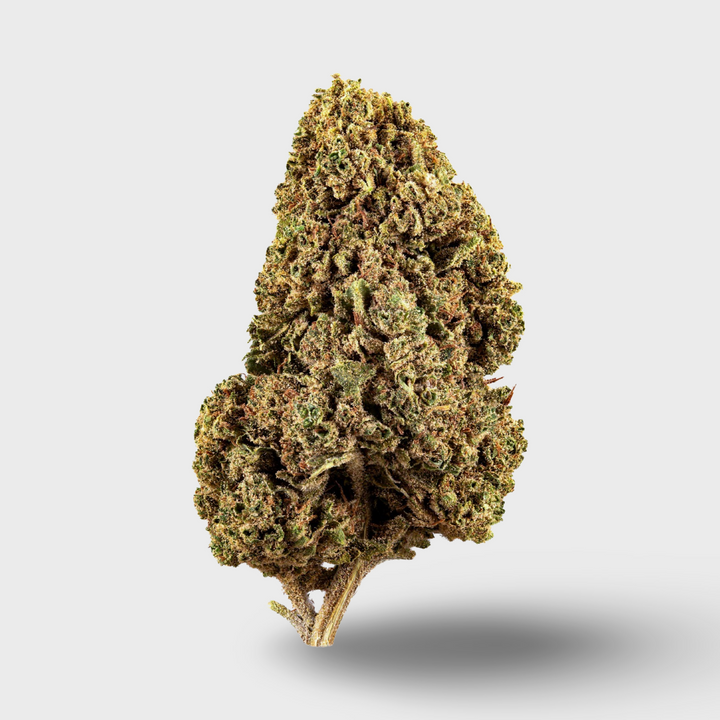 CBDÍA Sunlight X White Widow 5g