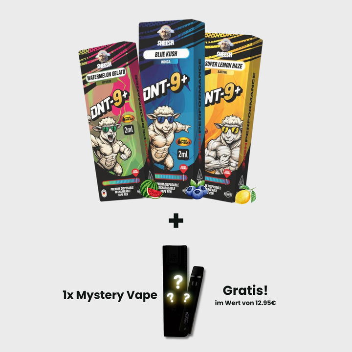 SHEESH DNT-9 Vape Probierpaket mit drei Vapes zu je 2 ml, Produktabbildung