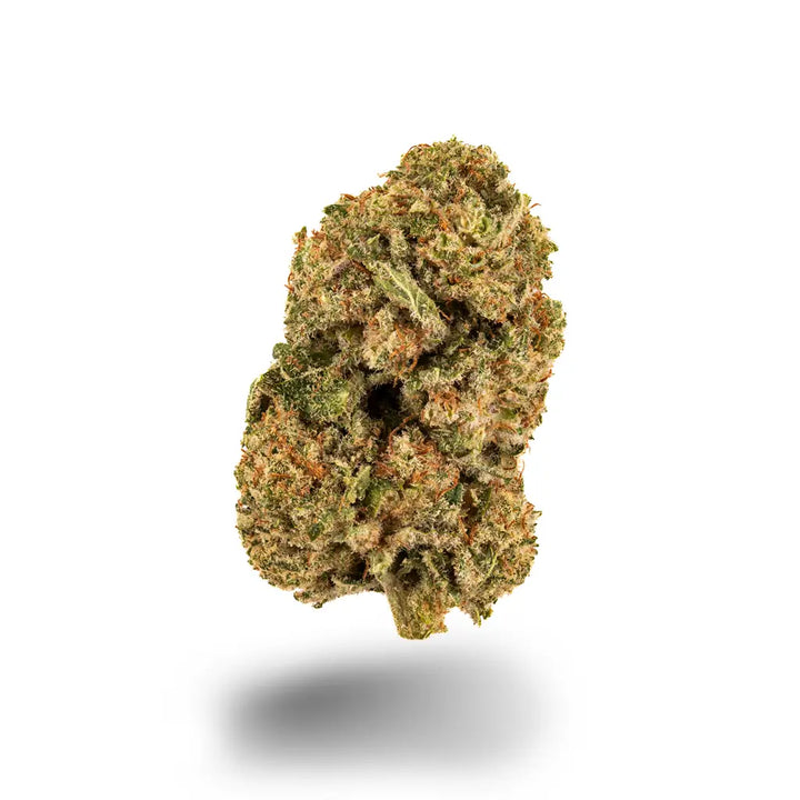 Terp Ninja Superior Dragon Buds Probierpaket