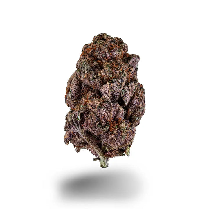Terp Ninja Superior Dragon Buds Probierpaket