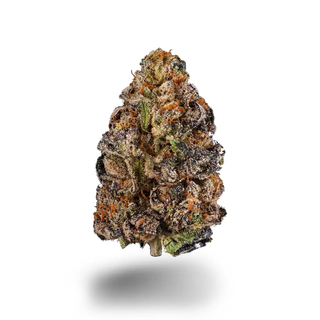 Terp Ninja Superior Dragon Buds Probierpaket