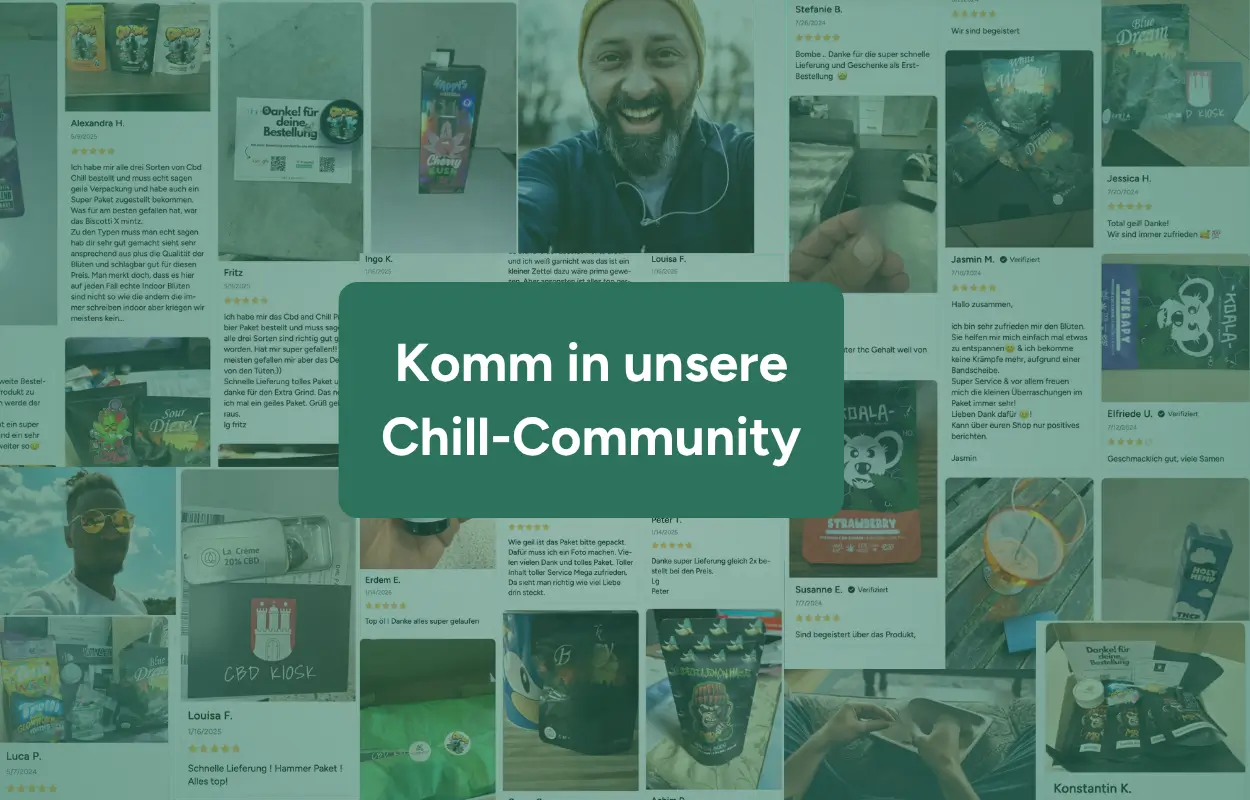 Chill Community Reviews 