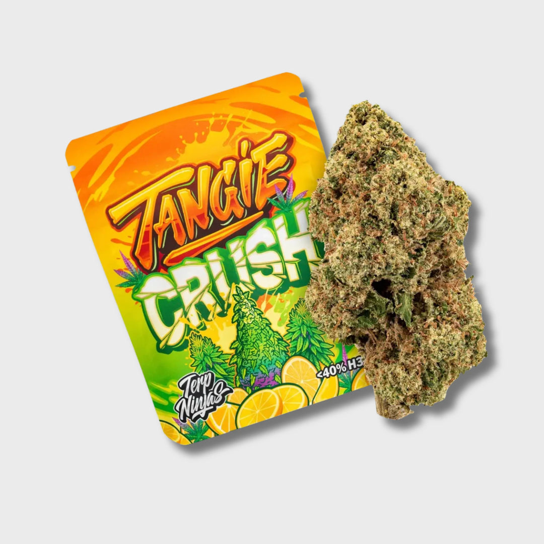 Terp Ninja Superior H3Creamy Clouds Probierpaket