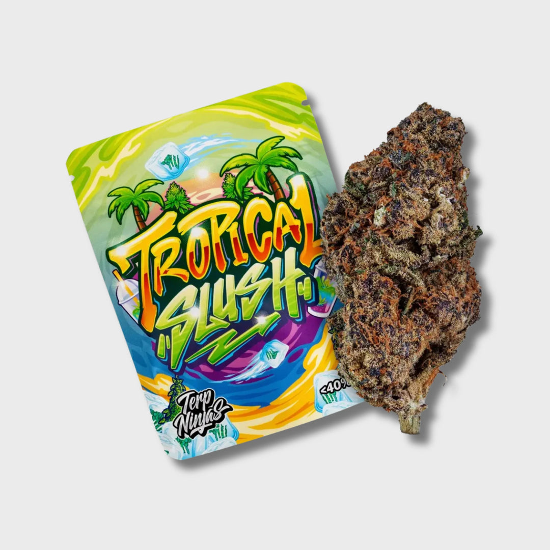 Terp Ninja Superior H3Creamy Clouds Probierpaket