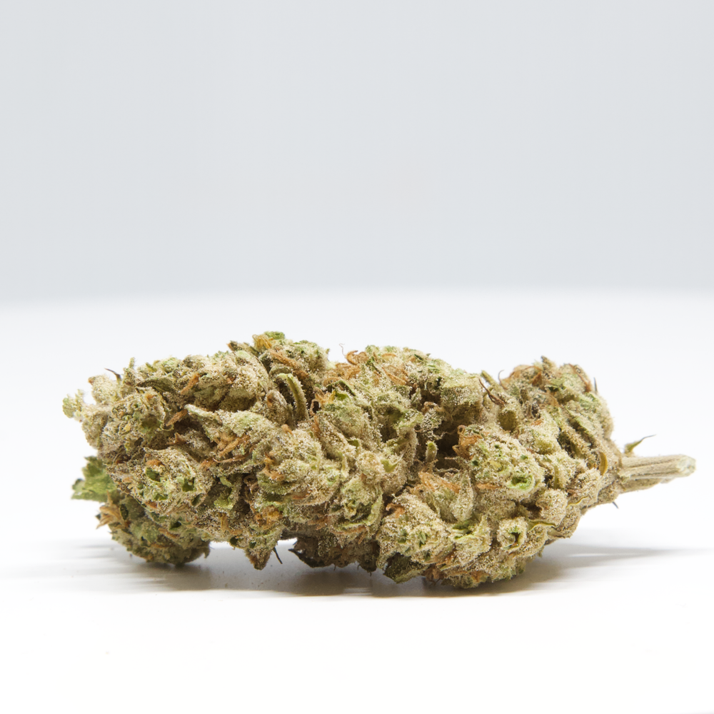 CBG Blüten 5G